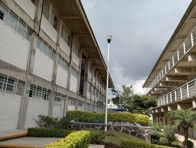 preparatoria Jalisco
